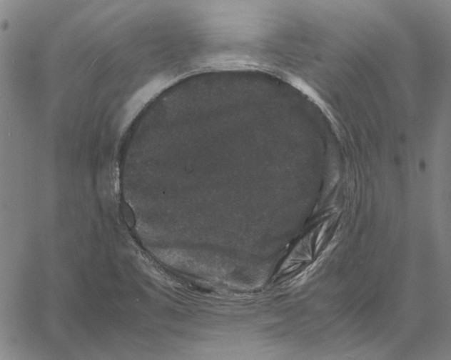 X0000061141461200512161518