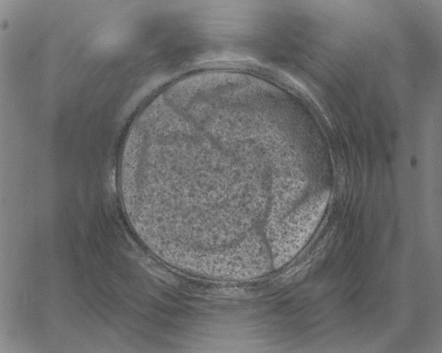 X0000061141462200512161518