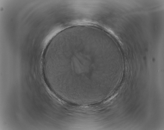 X0000061141463200512161518