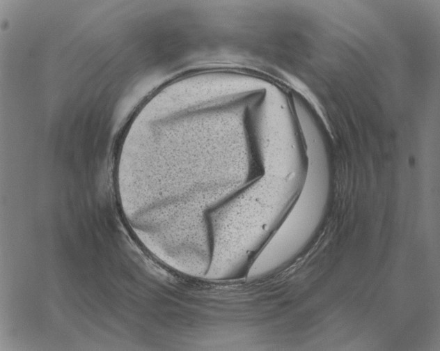 X0000061141464200512161518