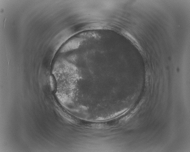 X0000061141465200512161518