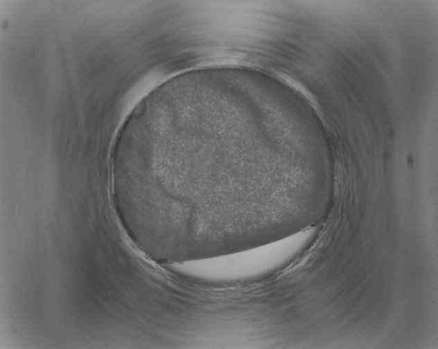 X0000061141467200512161518