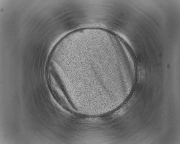 X0000061141468200512161518