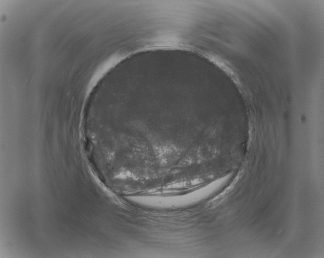 X0000061141469200512161517