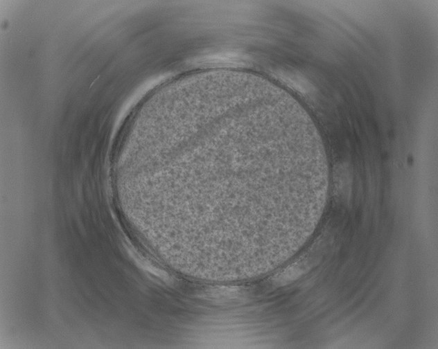 X0000061141470200512161517