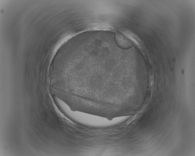 X0000061141471200512161517