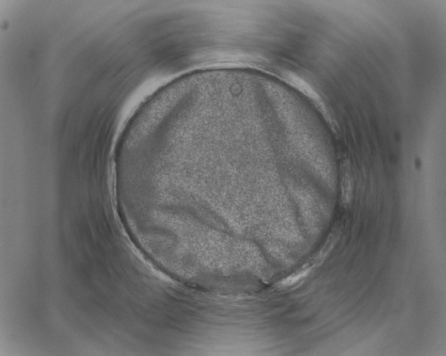 X0000061141472200512161517