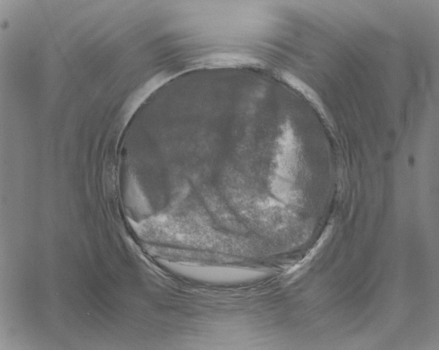 X0000061141473200512161517