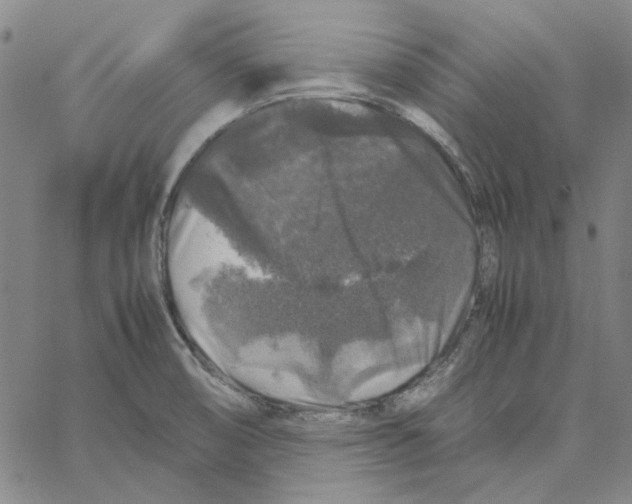 X0000061141474200512161517