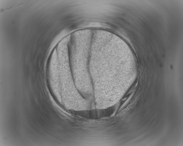 X0000061141475200512161517