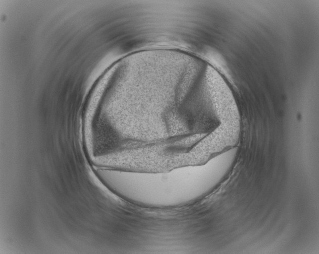 X0000061141476200512161517