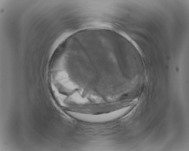 X0000061141477200512161517