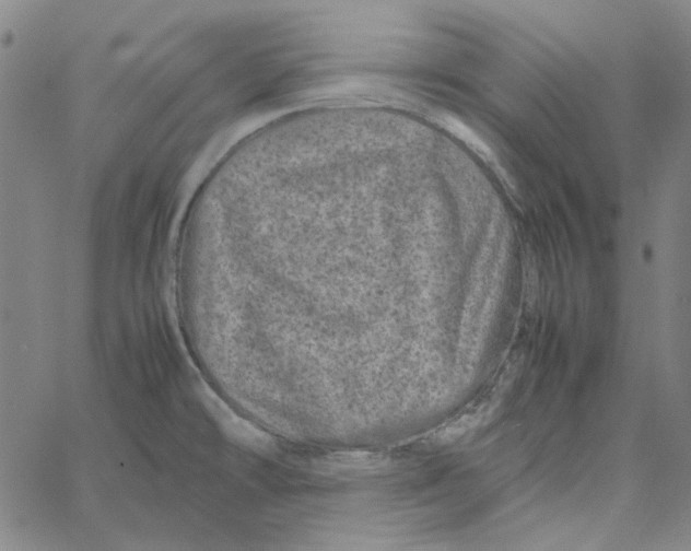 X0000061141478200512161517