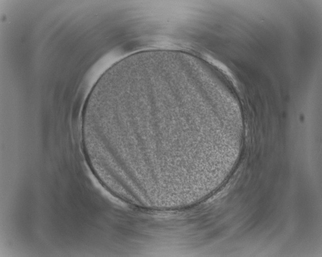 X0000061141479200512161517