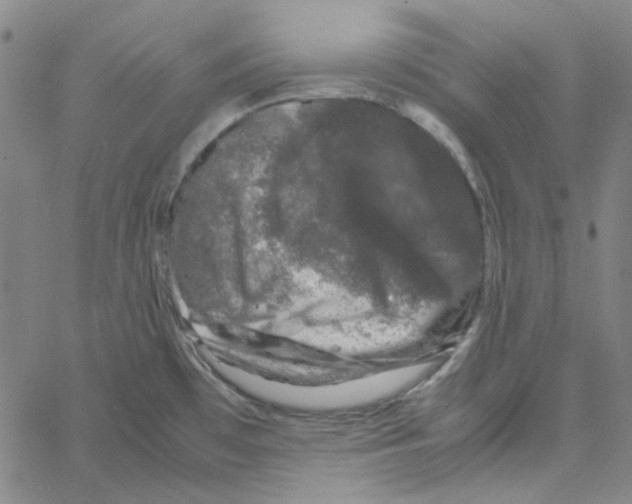 X0000061141481200512161517