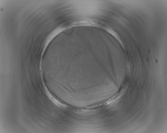 X0000061141482200512161517