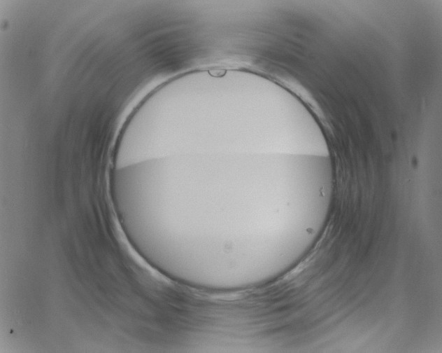 X0000061141484200512161517