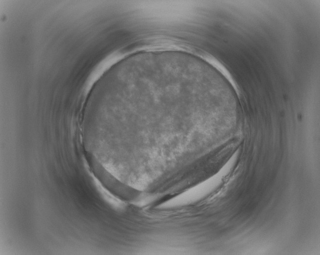 X0000061141485200512161517