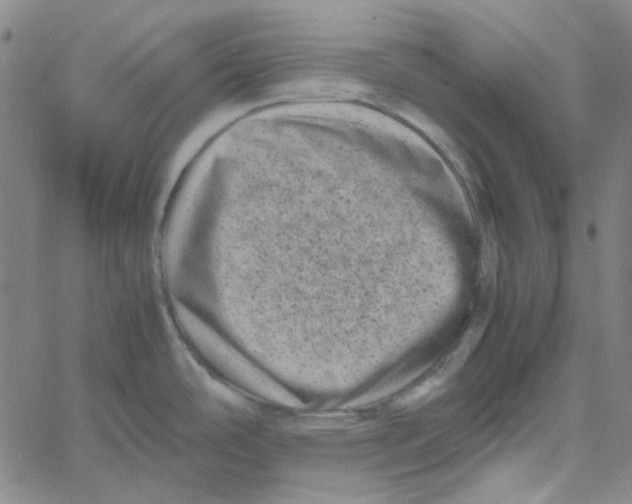 X0000061141486200512161517