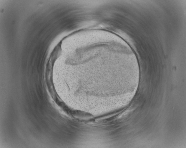 X0000061141488200512161517