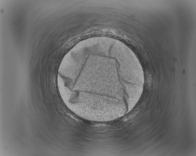 X0000061141489200512161516