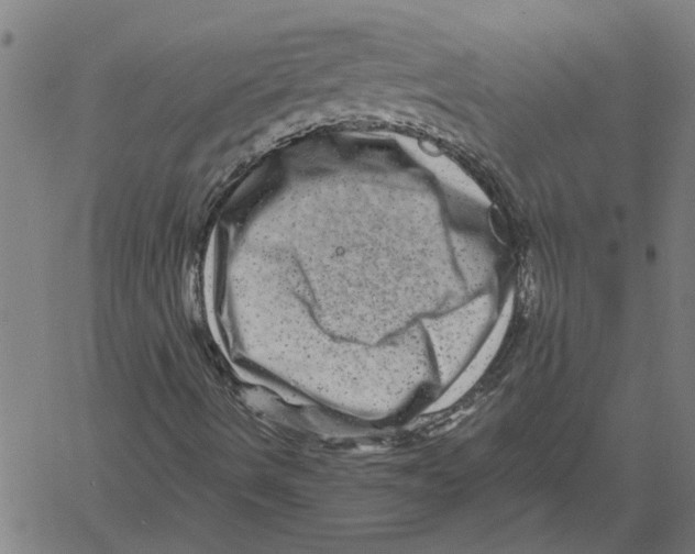 X0000061141490200512161516