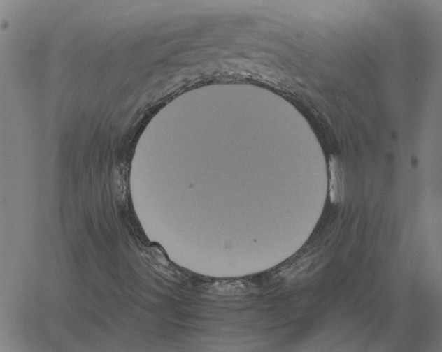 X0000061141491200512161516