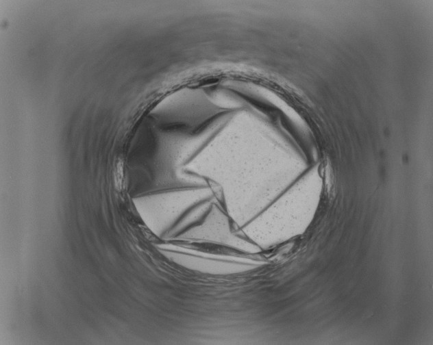 X0000061141492200512161516