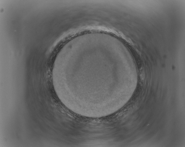 X0000061141495200512161516