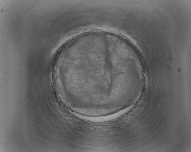 X0000061141496200512161517