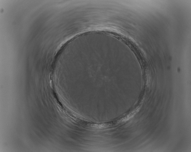 X0000061141497200512161517