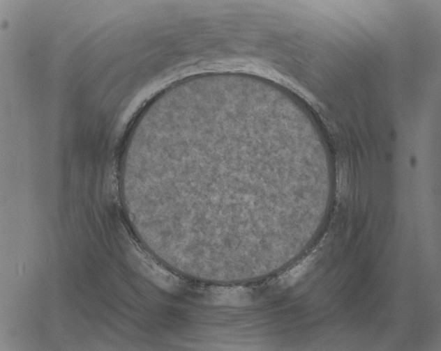 X0000061141498200512161517