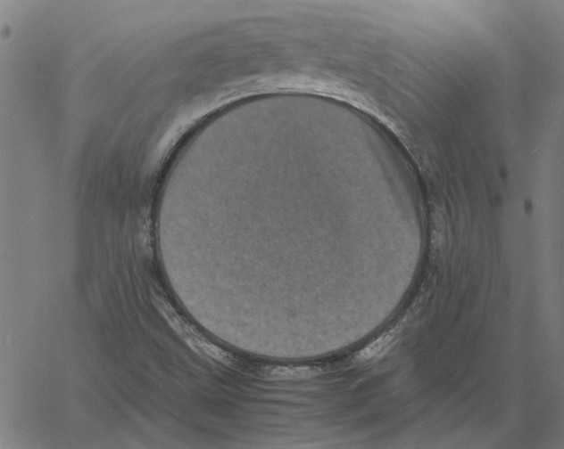 X0000061141499200512161517