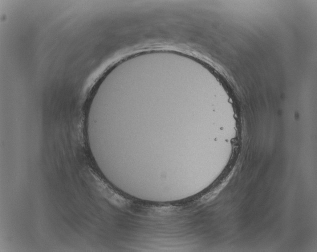 X0000061141502200512161517