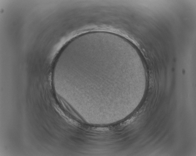 X0000061141503200512161517