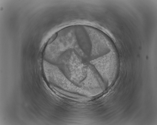 X0000061141504200512161517