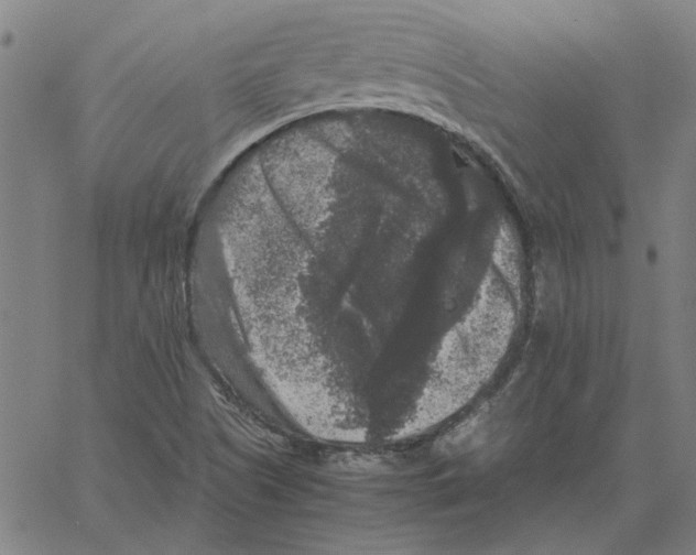 X0000061141505200512161517