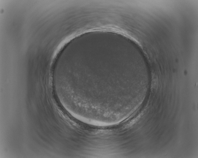 X0000061141506200512161517