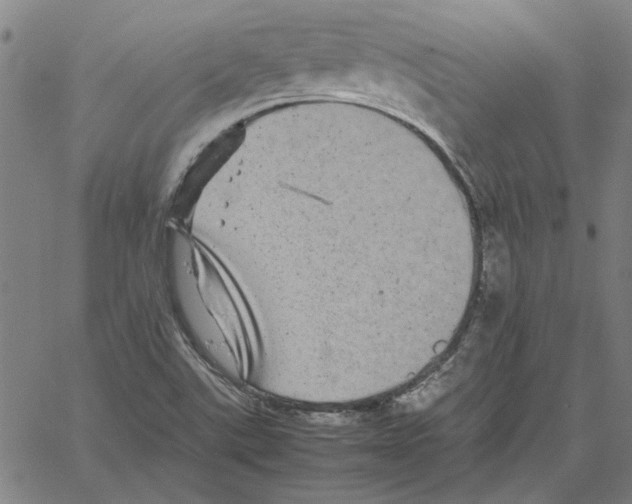 X0000061141507200512161517