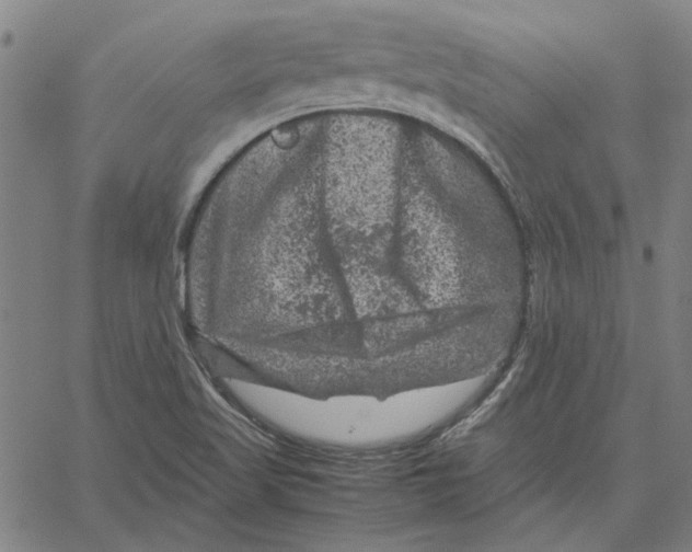 X0000061141509200512161517