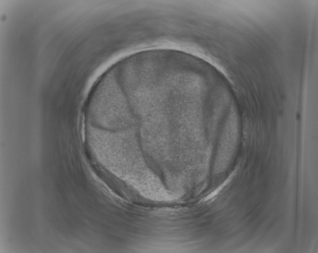 X0000061141510200512161517