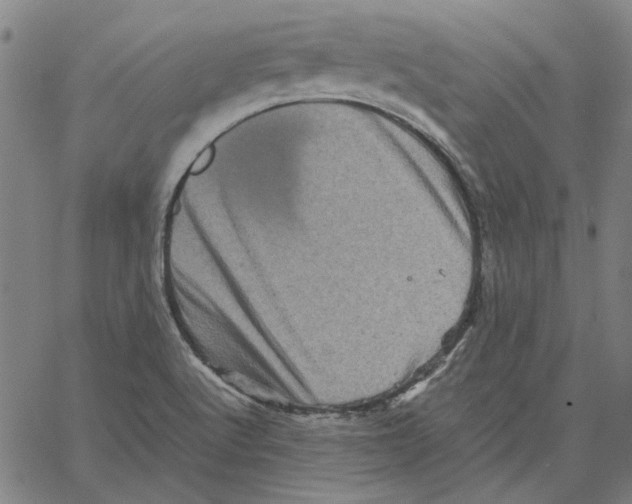 X0000061141512200512161517