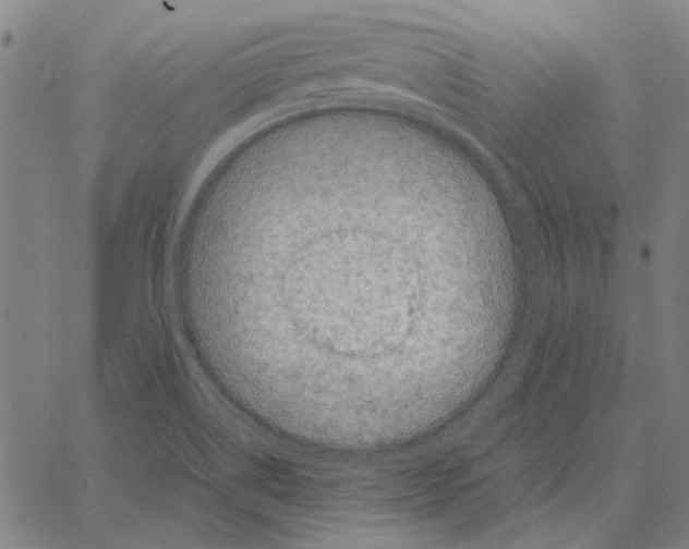 X0000061141514200512161517