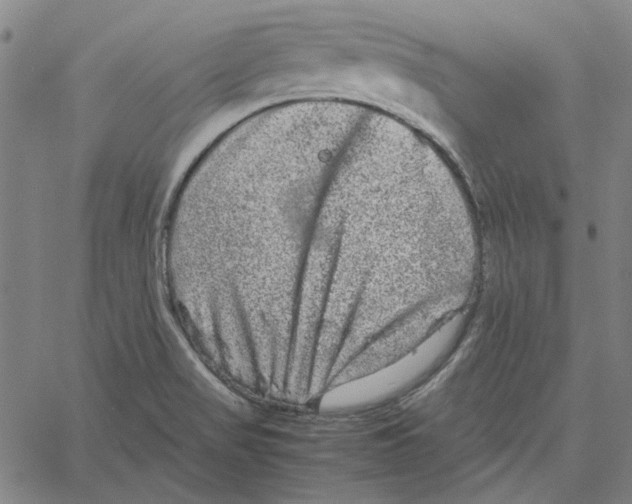 X0000061141517200512161517