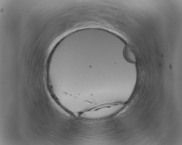 X0000061141518200512161517