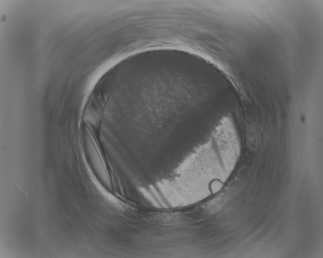 X0000061141519200512161517