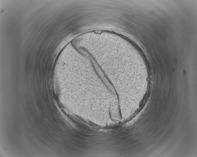 X0000061141521200512161517