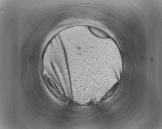 X0000061141523200512161517