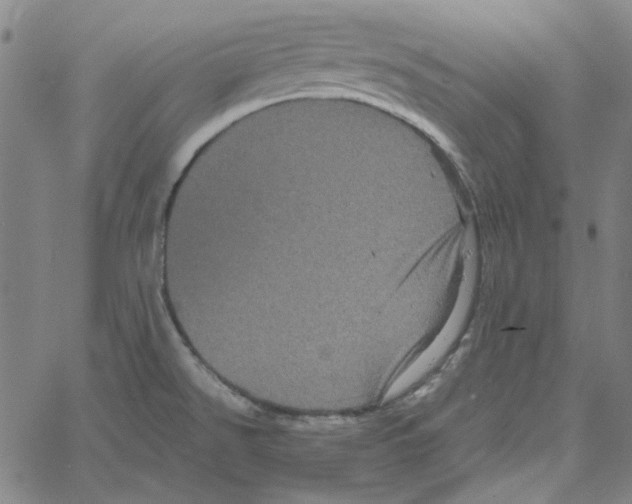 X0000061141526200512161517