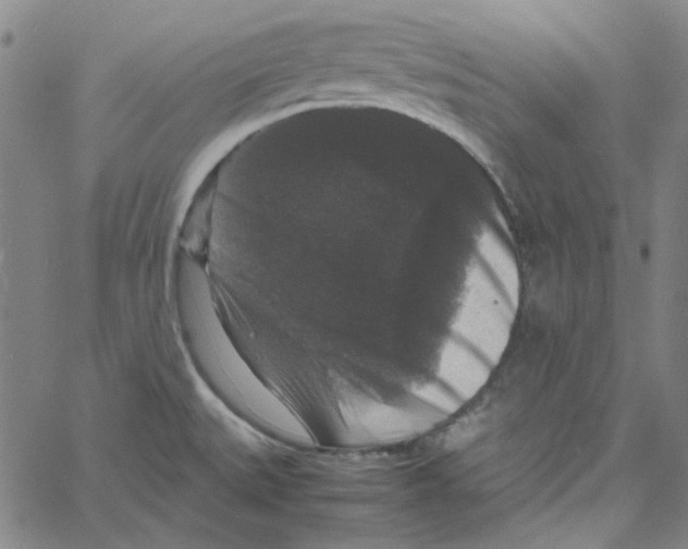 X0000061141527200512161517